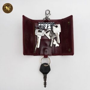 Smart Cary Key Holder